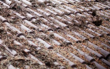 Upper Ifold roof cleaning companies